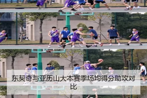 东契奇与亚历山大本赛季场均得分助攻对比