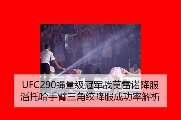 UFC290蝇量级冠军战莫雷诺降服潘托哈手臂三角绞降服成功率解析